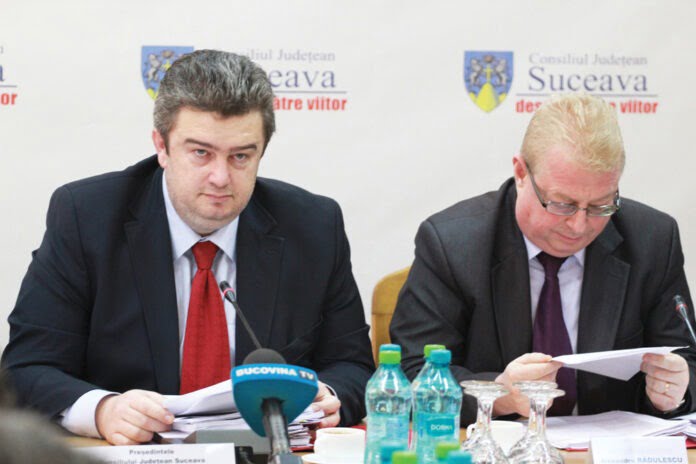 nechifor-radulescu-priviri