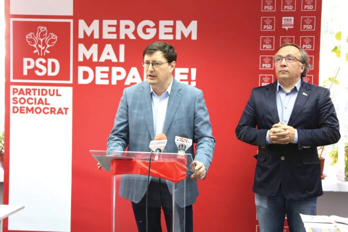 bradatan-pupitru-boby