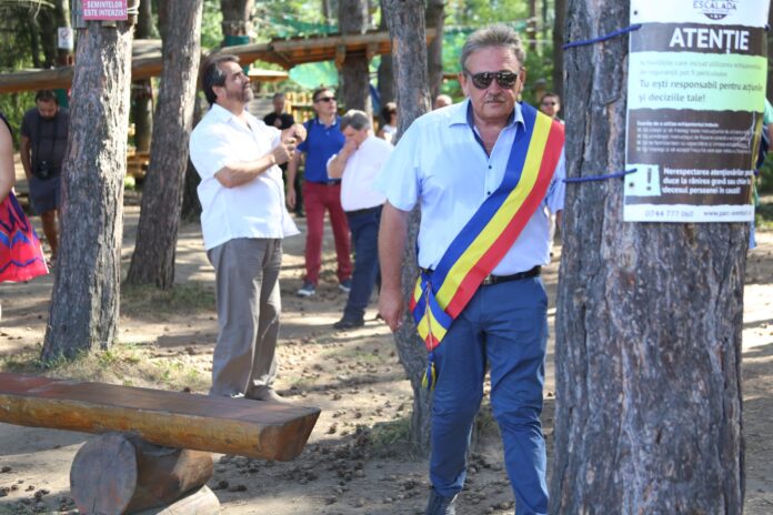 ursaciuc copac