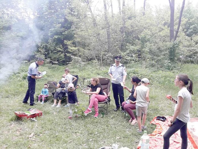 foto-picnic-2