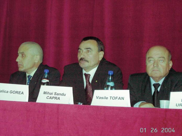 burciu,-capra,-gorea