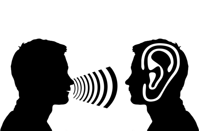 ear-ga4441d08e_1280