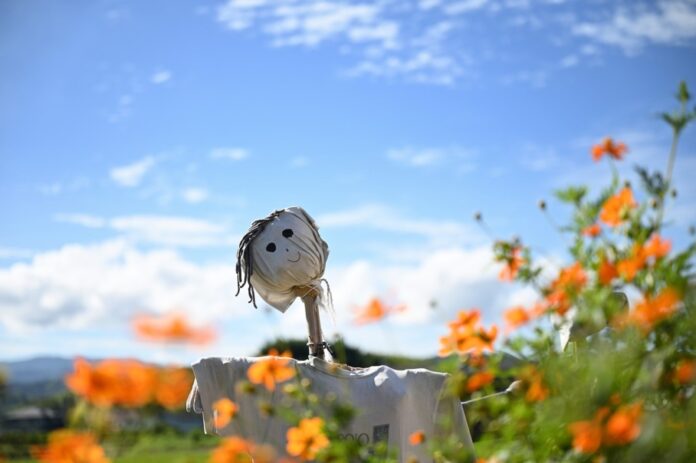 scarecrow-4460751_1280