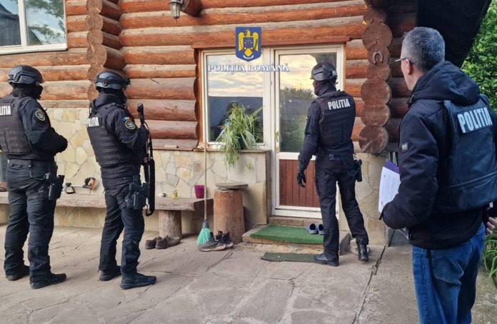 goicea-perchezitii-1