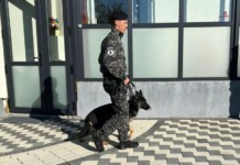 Pretențiile mari ale celor mai mari