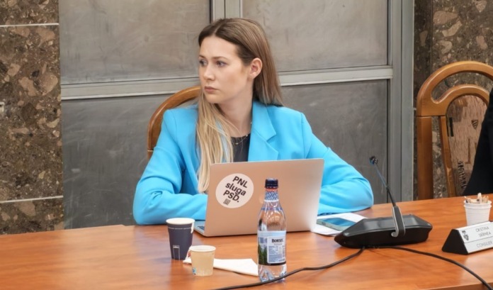 sbirnea pnl sluga psd
