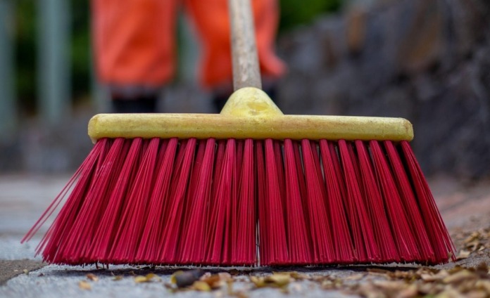 mauriciomonteirofranca-broom-6310388_1280