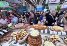 Suceava din Ungaria