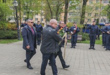 Spini și ace