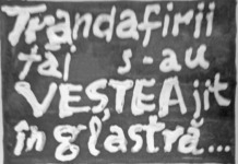 PIM – JUPÂNU’ – anul XXIII, nr. 23 (1249) 23.06.2026 – 29.06.2026