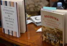 „Mămăligă de calici” vs. „Mămăligă gospodărească”. Completări subiective la tratatul lui Mircea A. Diaconu