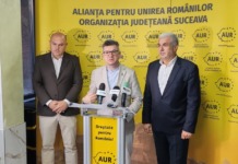 Vizionarul Ștefan