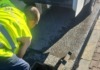 Măcar canalele să aibă voce