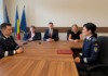 Față și profil