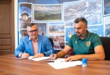 Un eseu pentru domnul vice