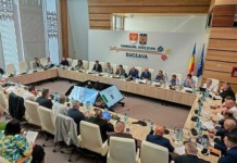 Pentru PSD, județul are o conducere de 2 lei