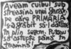 PIM – JUPÂNU’ – anul XXIII, nr. 29 (1255) 04.08.2026 – 10.08.2026
