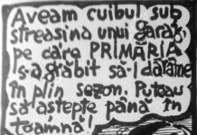 PIM – JUPÂNU’ – anul XXIII, nr. 29 (1255) 04.08.2026 – 10.08.2026