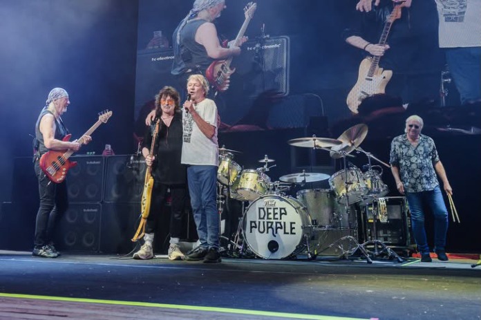 deep-purple