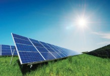 Tare bine ar fi prins acum un parc fotovoltaic