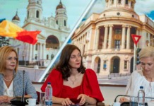 Combaterea violenței sălbatice