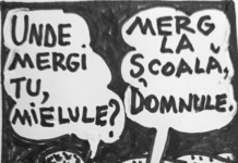 PIM – JUPÂNU’ – anul XXIII, nr. 34 (1260) 08.09.2026 – 14.09.2026