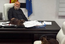 Jupân de Pardon