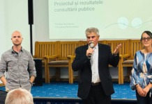 Zonele centrale mici